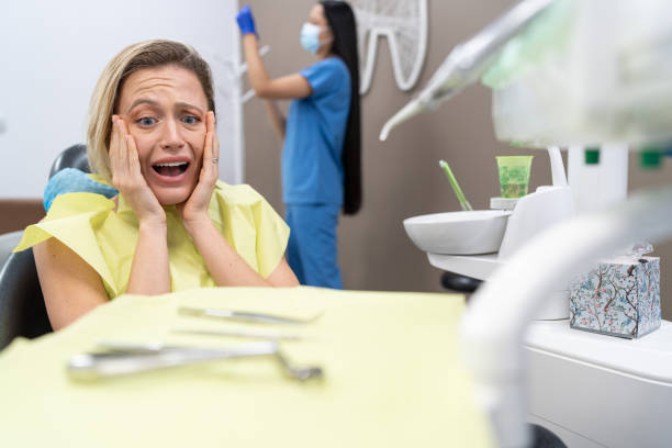 Best Emergency X-Rays and Diagnostics in Captains Cove, VA
